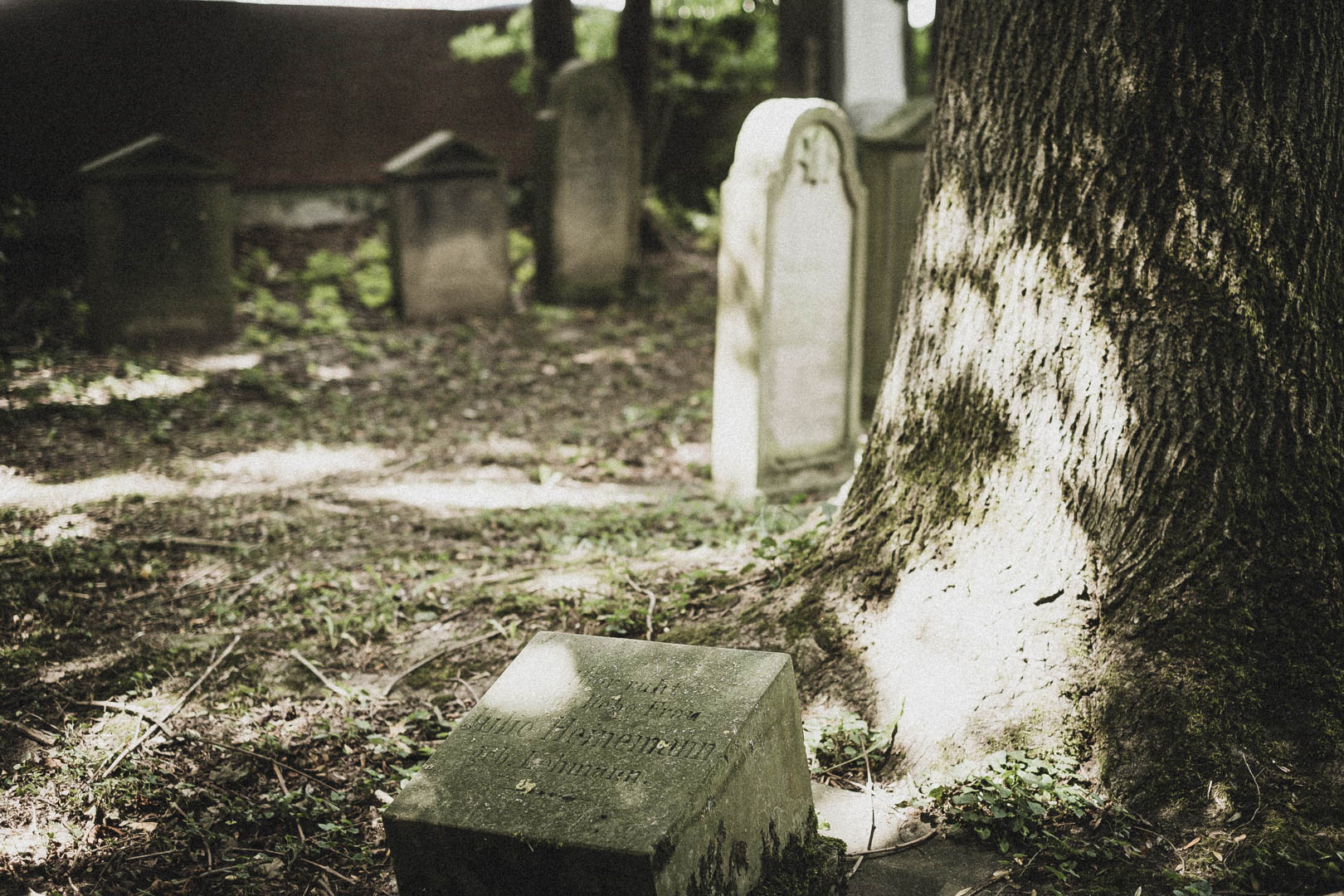 Rinteln, Jüdischer Friehof